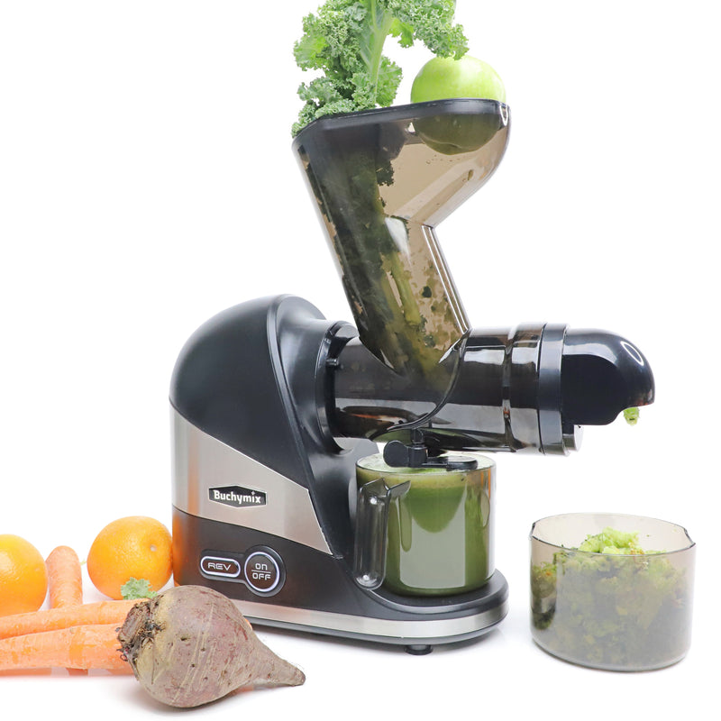 Masticating Horizontal slow Juicer for Vegies & Fruits- With Big Chute