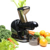 Masticating Horizontal slow Juicer for Vegies & Fruits- With Big Chute