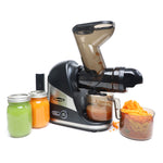 Masticating Horizontal slow Juicer for Vegies & Fruits- With Big Chute