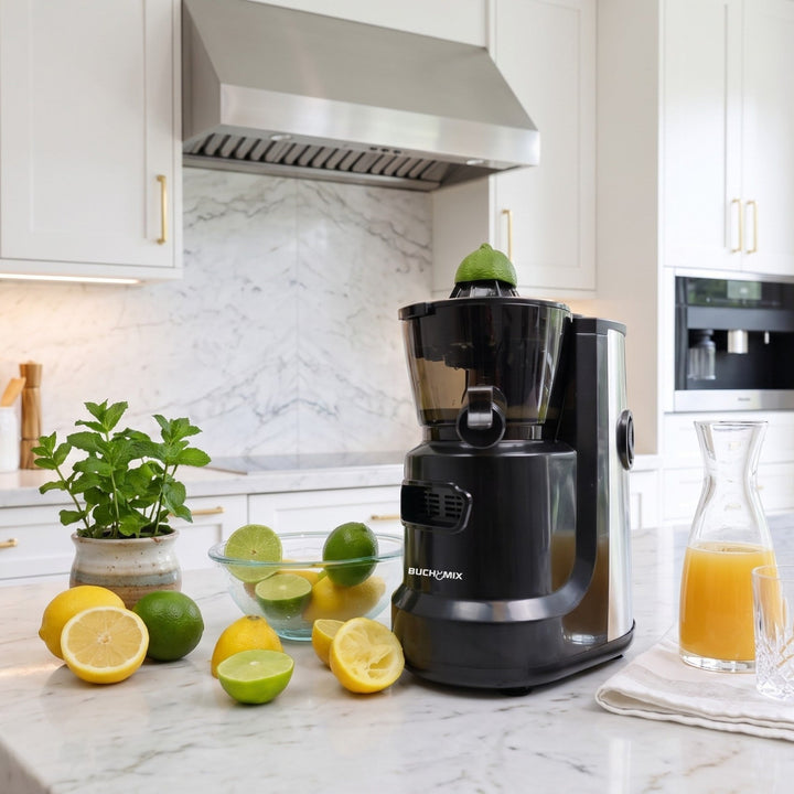 Multifunctional Hands Free Self Feeding Batch Juicer With Heavy Duty Motor - Buchymix UK