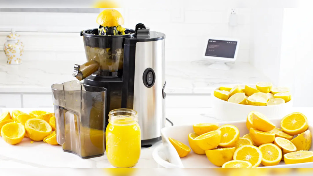 Multifunctional Hands Free Self Feeding Batch Juicer With Heavy Duty Motor